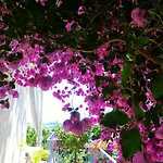 Guest house Dreams La Spezia