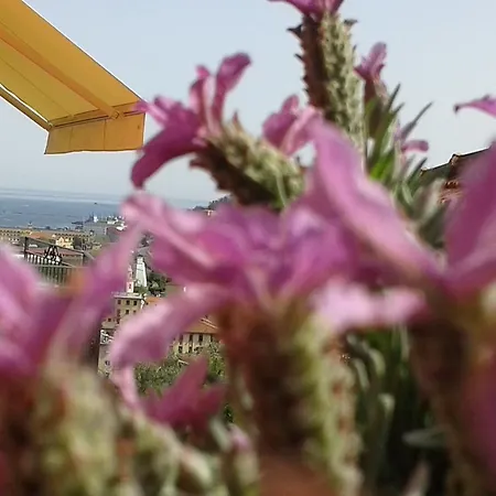 Casa de hóspedes Dreams