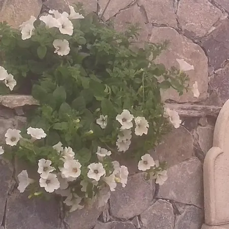 Maison d'hôtes Dreams *