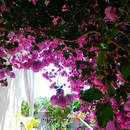 Casa de hóspedes Dreams La Spezia